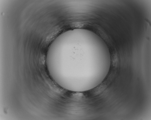 X0000103490374200809261956