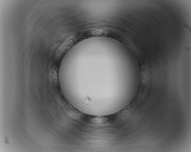 X0000103490375200809261956