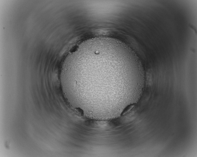 X0000103490377200809261956