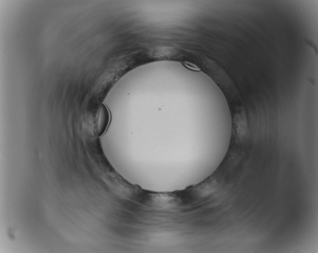 X0000103490380200809261956