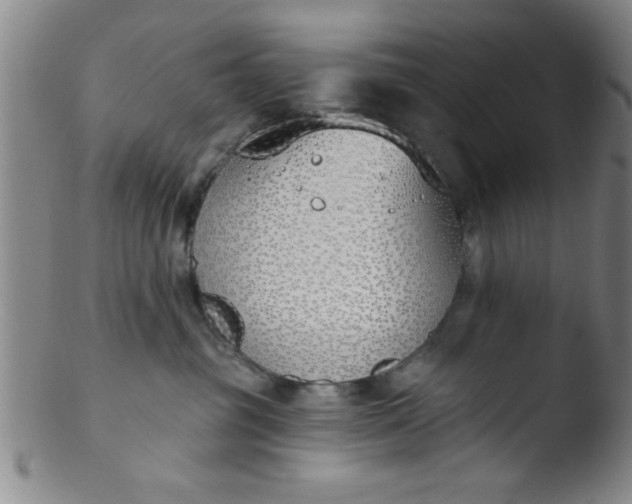 X0000103490381200809261956