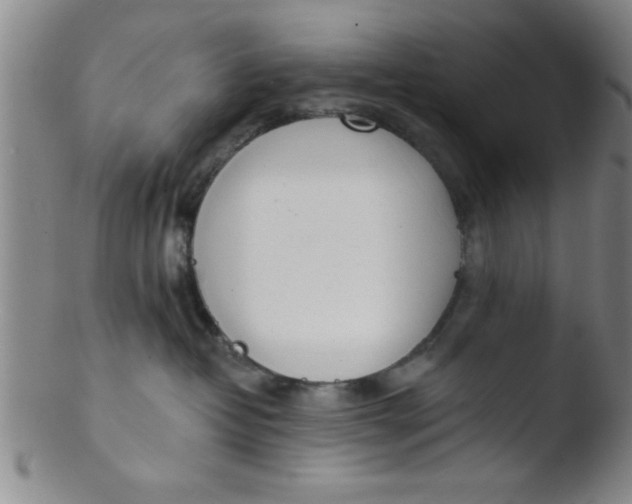 X0000103490382200809261956