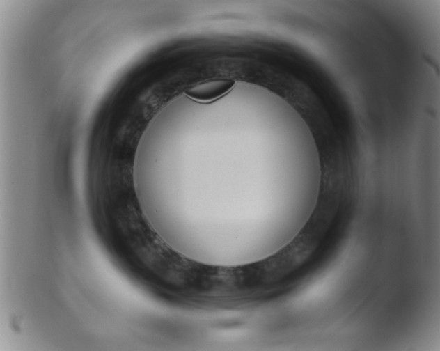 X0000103490383200809261956