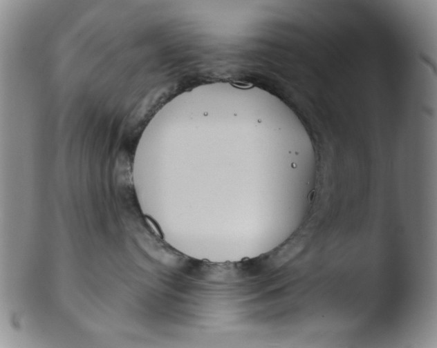 X0000103490384200809261956