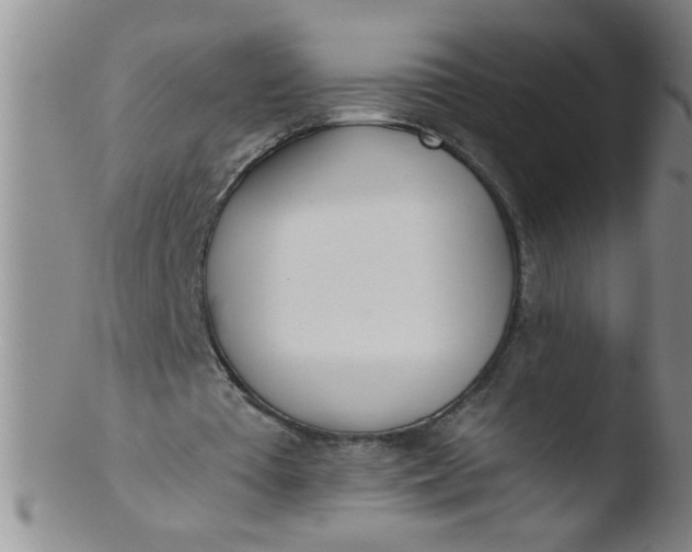 X0000103490385200809261955