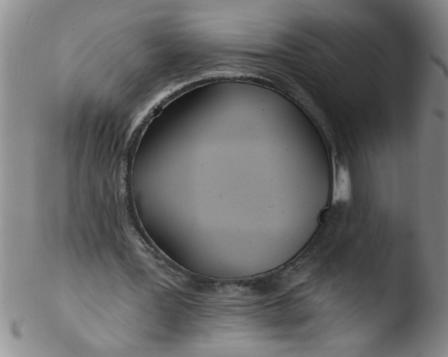 X0000103490387200809261955