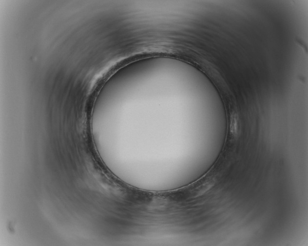 X0000103490388200809261955