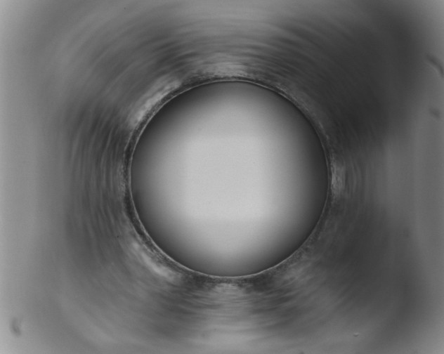 X0000103490390200809261955