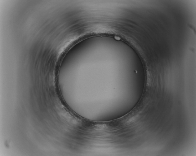 X0000103490391200809261955