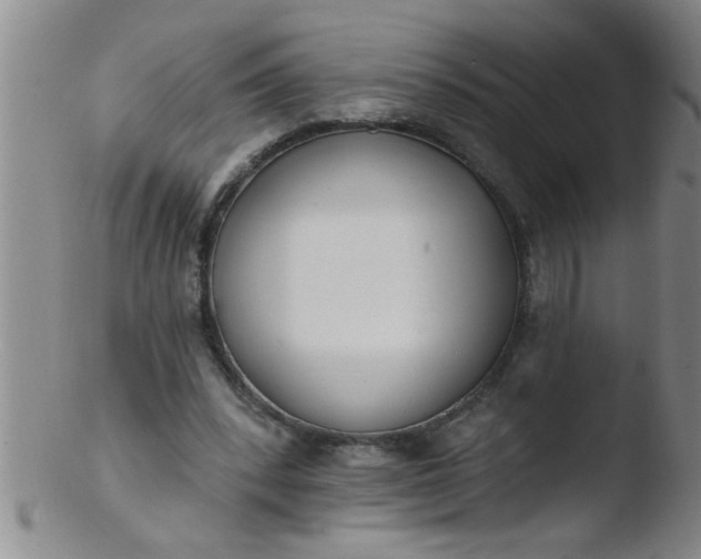 X0000103490392200809261955