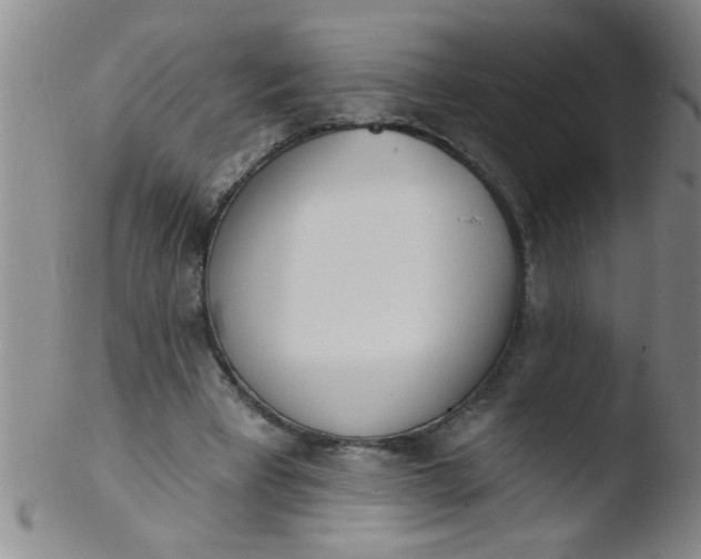 X0000103490393200809261955