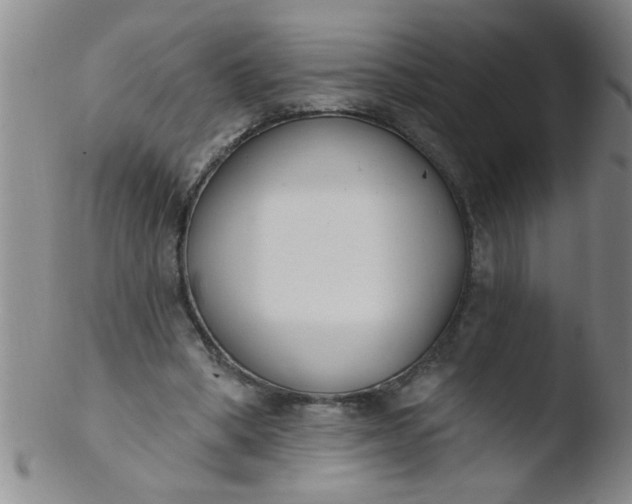 X0000103490394200809261955