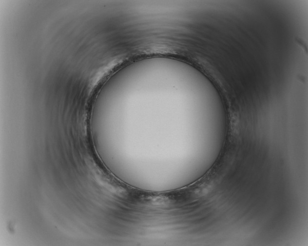 X0000103490395200809261955