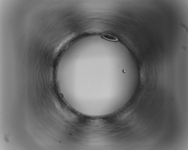 X0000103490396200809261955