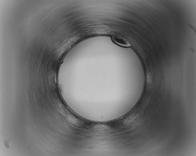 X0000103490397200809261955