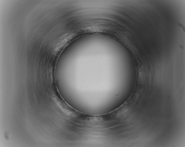 X0000103490398200809261955