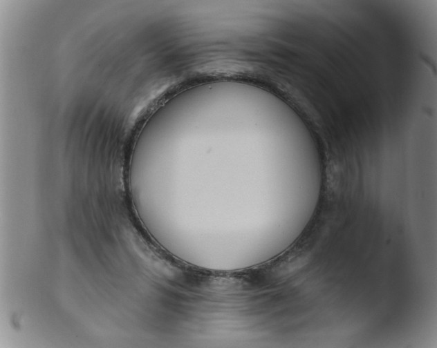 X0000103490399200809261955