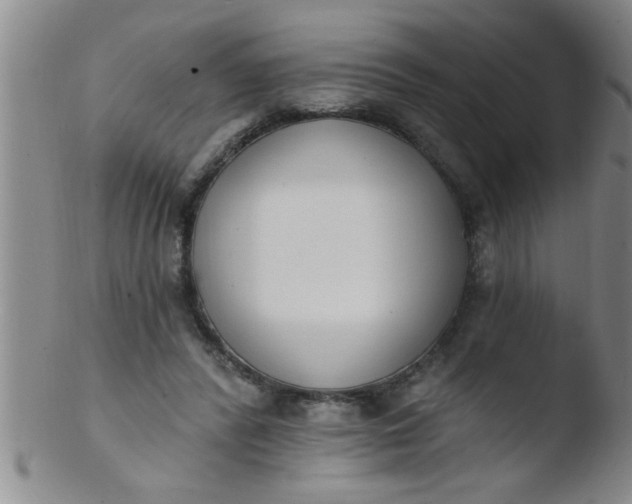 X0000103490400200809261955