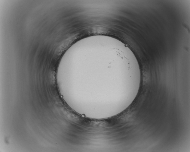 X0000103490401200809261955