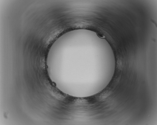 X0000103490403200809261955