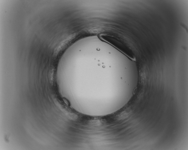 X0000103490404200809261955