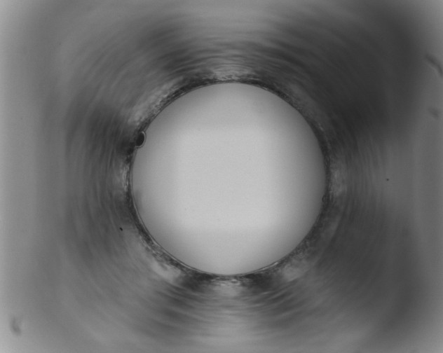 X0000103490405200809261955