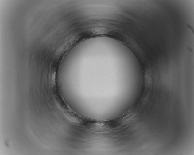 X0000103490406200809261955