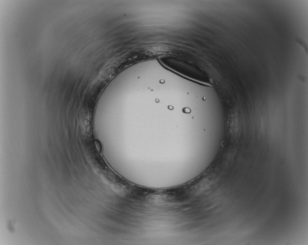 X0000103490408200809261955