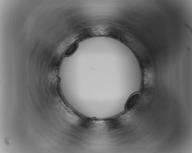 X0000103490409200809261955