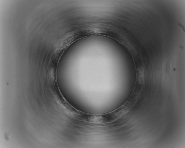 X0000103490410200809261955