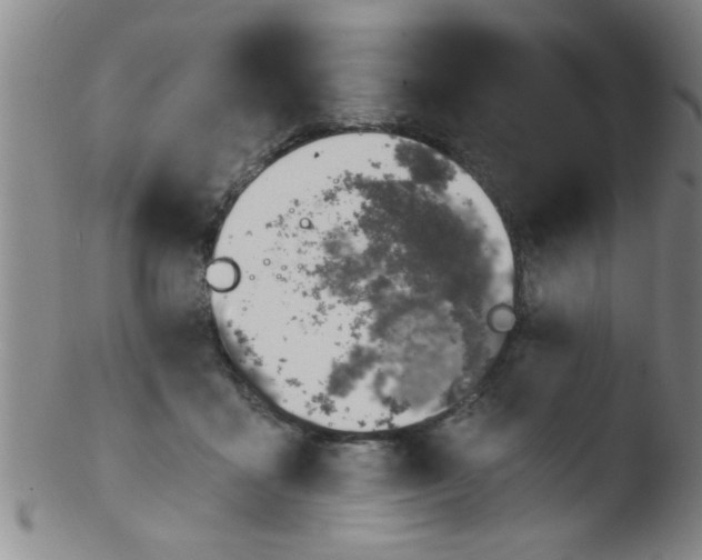 X0000103490411200809261955