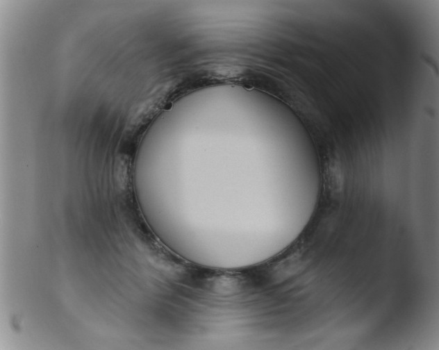 X0000103490412200809261955