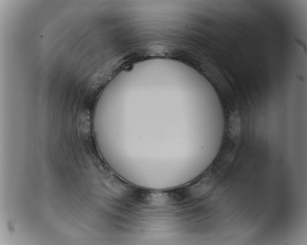 X0000103490413200809261955