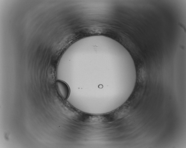 X0000103490414200809261955