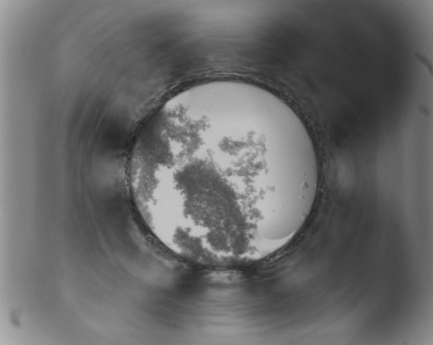 X0000103490415200809261955