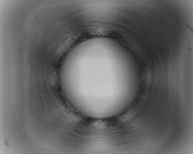 X0000103490416200809261955