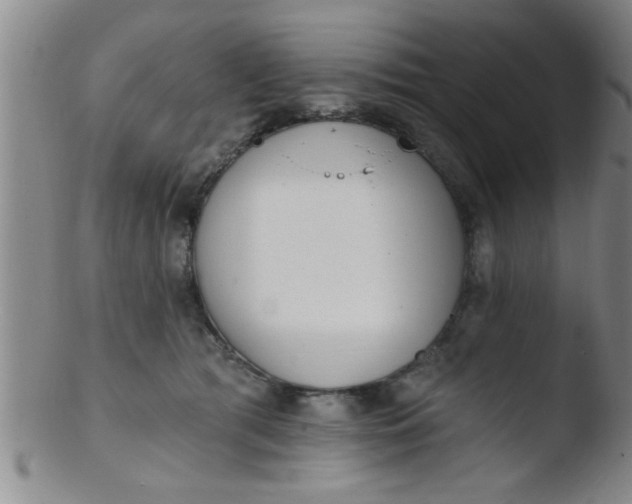 X0000103490417200809261955