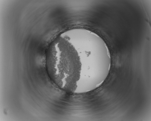 X0000103490419200809261955