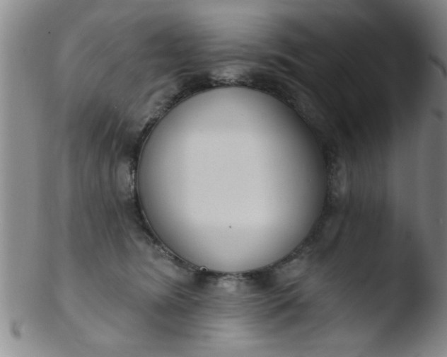 X0000103490420200809261955