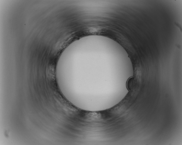 X0000103490421200809261955