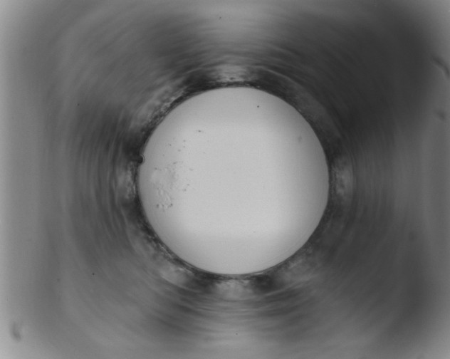 X0000103490422200809261955