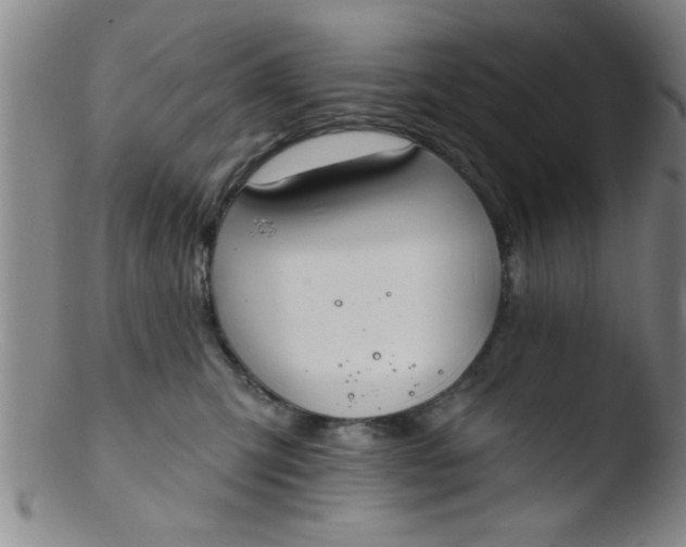 X0000103490423200809261955