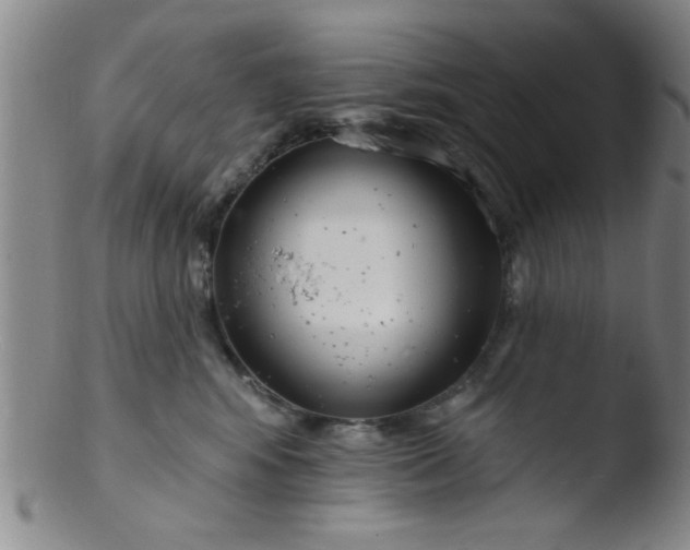 X0000103490424200809261955