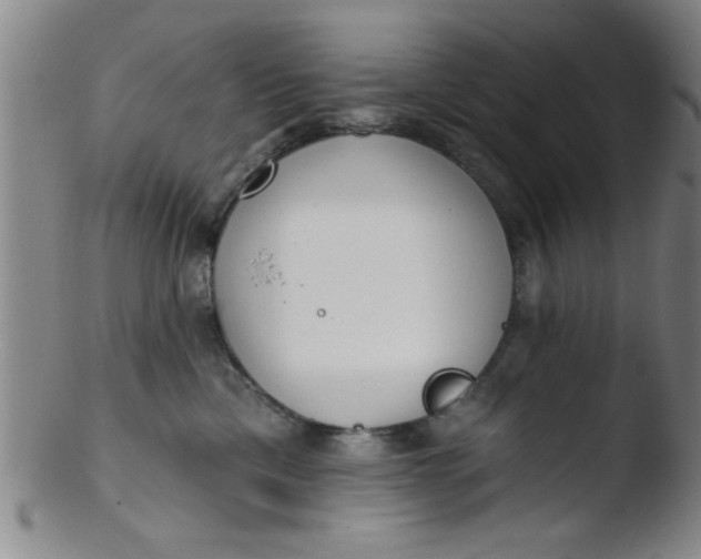 X0000103490425200809261955