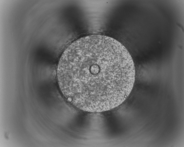 X0000103490427200809261954