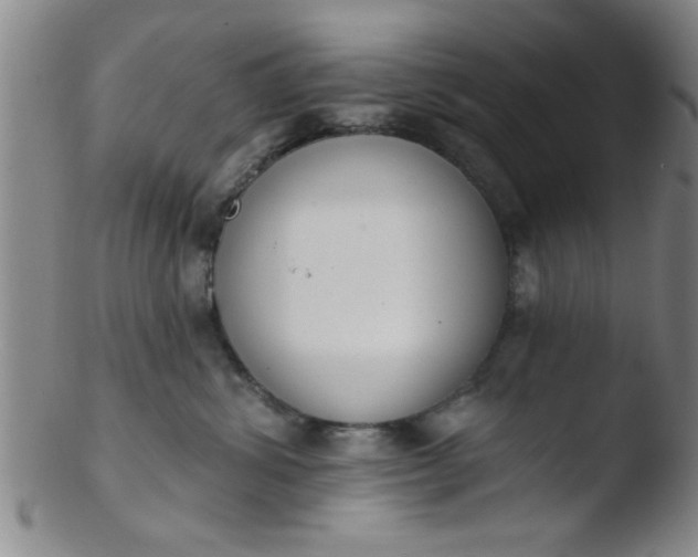 X0000103490428200809261954