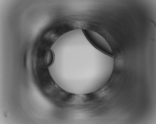 X0000103490429200809261954