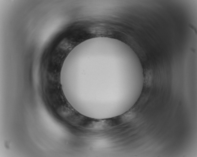 X0000103490430200809261954