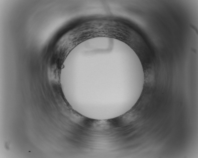 X0000103490431200809261954