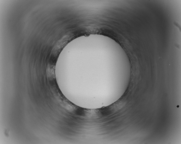 X0000103490432200809261954